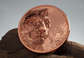 The Snow Leopard Ultra-High Relief 50g Copper Coin